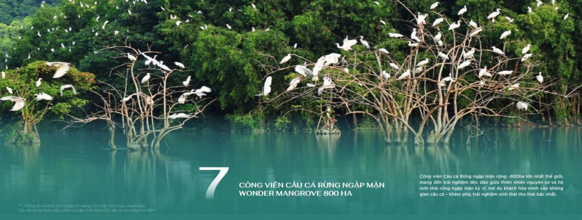 Tiện ích 8
